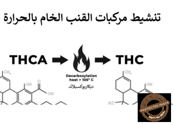 تنشيط القنب الخام لتحويل الـ THCA الى THC (ديكاربوكسيلاتد القنب)