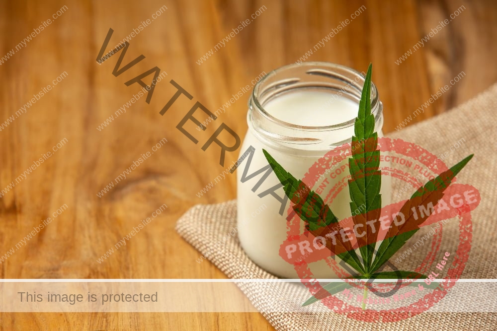 لبن العصفور حليب بذور القنب