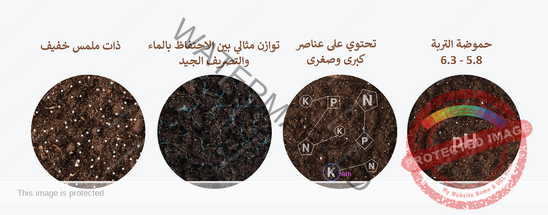 التربة والأسمدة العضوية