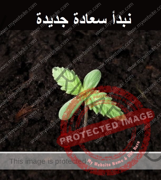 245eca_16aa40c87fad4375a079fc0448e45cb7mv2