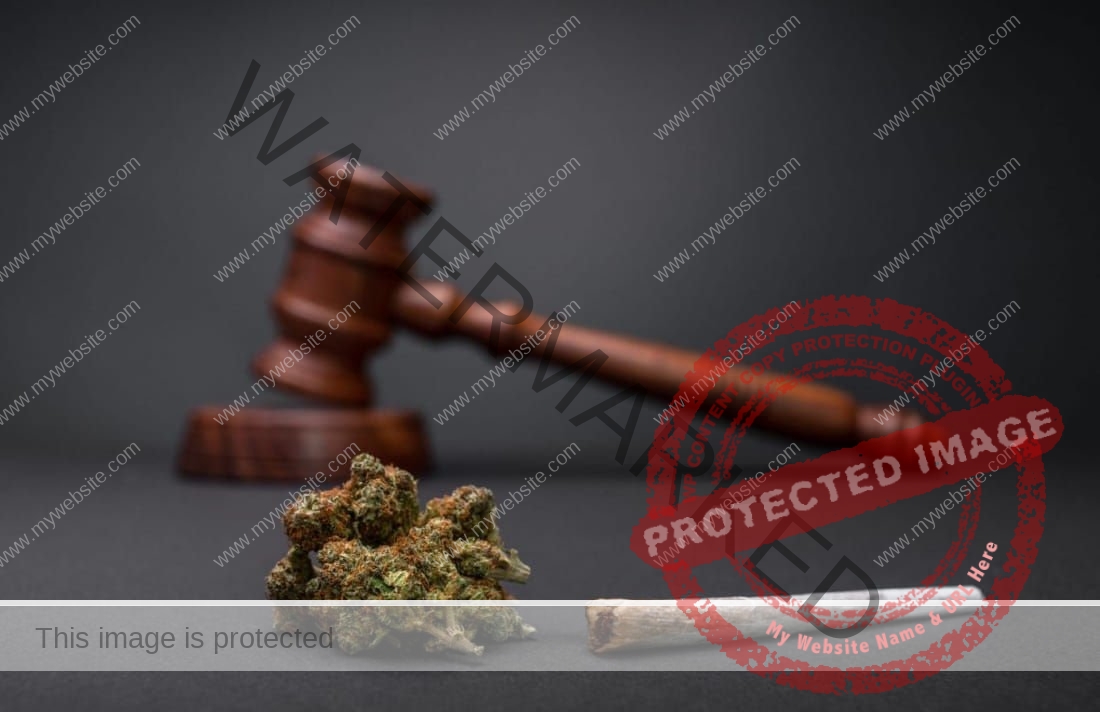 القوانين التي تخص نبتة القنب في مختلف البلدان في عام 2023