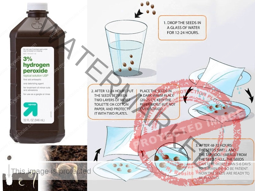 245eca_565abfc756cb4927adfc53557be4fcdfmv2