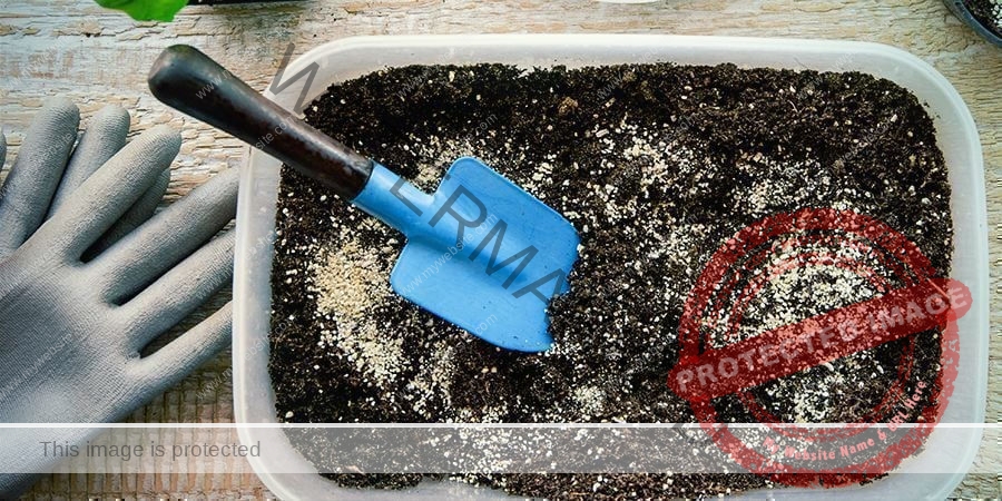 دليل الزراعة الخارجية