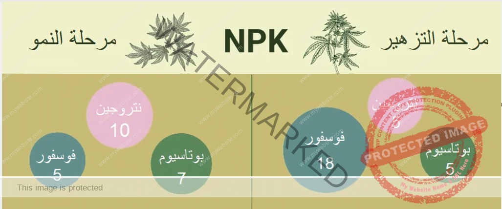 نسبة سماد NPK اللازمة