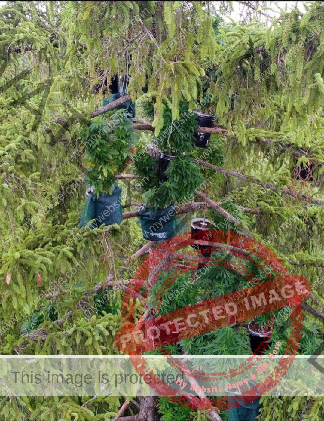 أرض خالية نائية للزراعة الخارجية