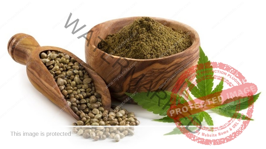 245eca_be539e74686240e98be91c2802319a78mv2