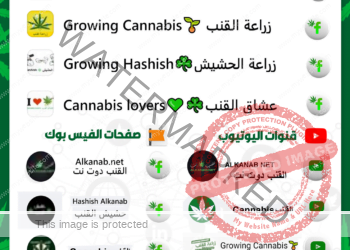 منصات التواصل الاجتماعي التابعة لنا