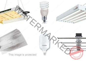 دليل اختيار الإضاءة المناسبة لزراعة القنب