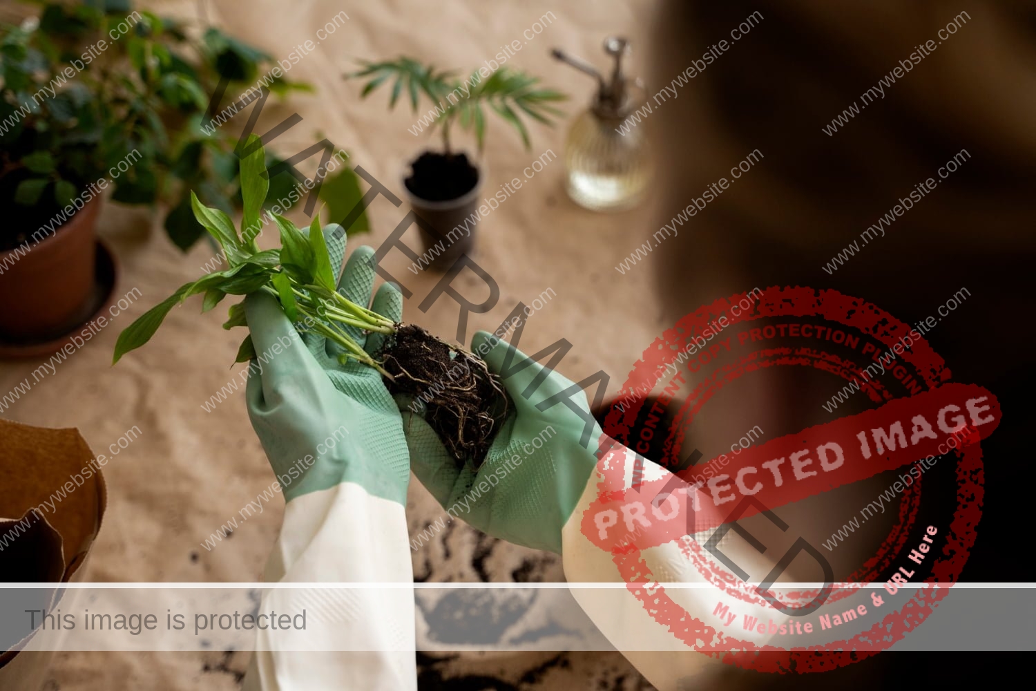 الأخطاء الشائعة في زراعة القنب