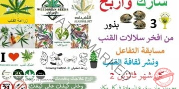 مسابقة نشر ثقافة القنب والتفاعل