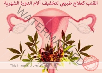 القنب كعلاج طبيعي لتخفيف آلام الدورة الشهرية