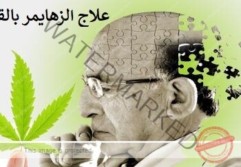 علاج الزهايمر باستخدام نبتة القنب