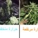 مشاكل الحرارة و الرطوبة و الحلول