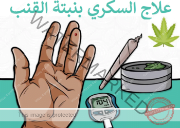 نبتة القنب وفوائدها في علاج مرضى السكري