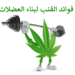 فوائد القنب لبناء العضلات