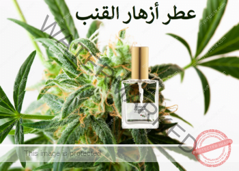 عطر أزهار القنب