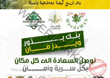 شرح قسم الخدمات والدعم