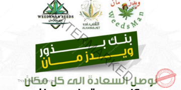 شرح قسم الخدمات والدعم