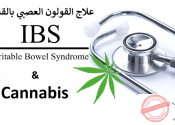 علاج القولون العصبي بالقنب: حل طبيعي لتخفيف الأعراض وتحسين الحياة