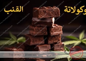 شوكولاتة القنب: دليل شامل لصنعها وفوائدها وآثارها