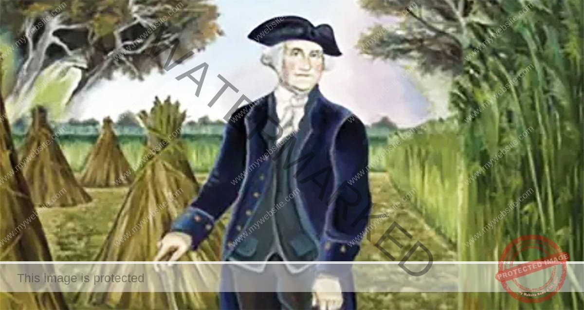 ولاية واشنطن كانت أول ولاية أمريكية تُشرّع الماريجوانا الترفيهية!