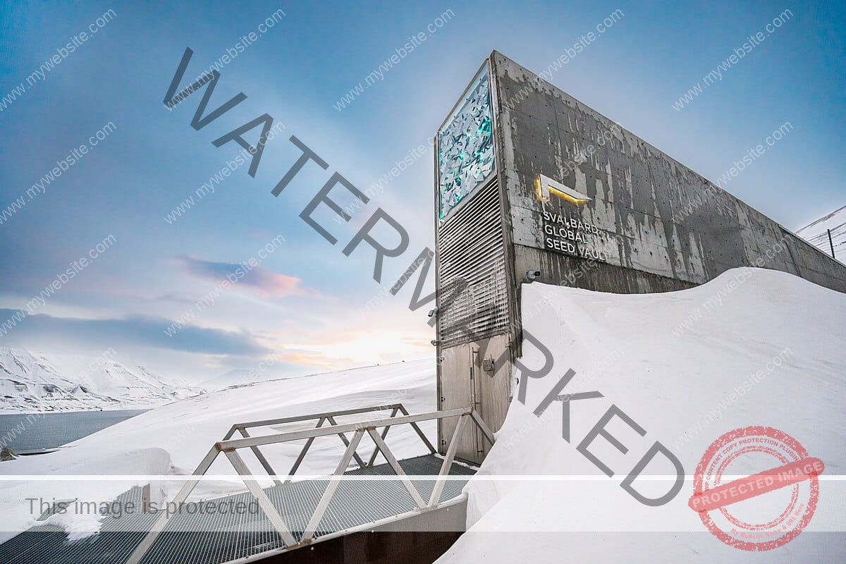 الماريجوانا ستنجو من الكوارث التي تحدث في العالم!