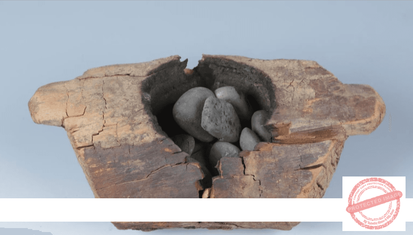 يُعتقد أن القنب كان من أوائل النباتات التي زرعها البشر