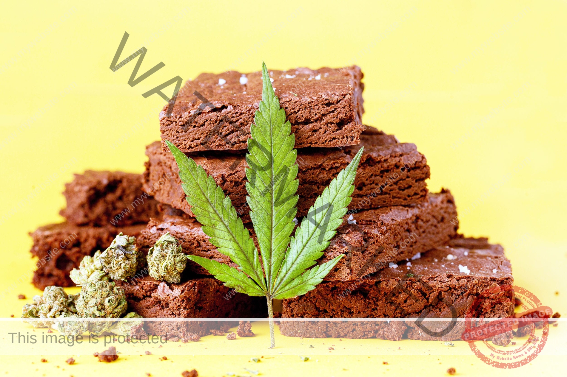 مبتكرة "براونيز القنب" كانت ناشطة أمريكية جريئة!