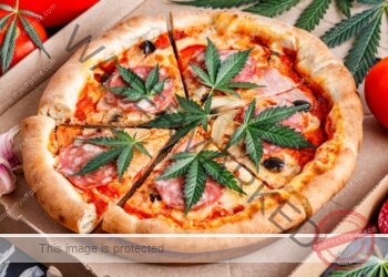 بيتزا القنب 🍕 🌿