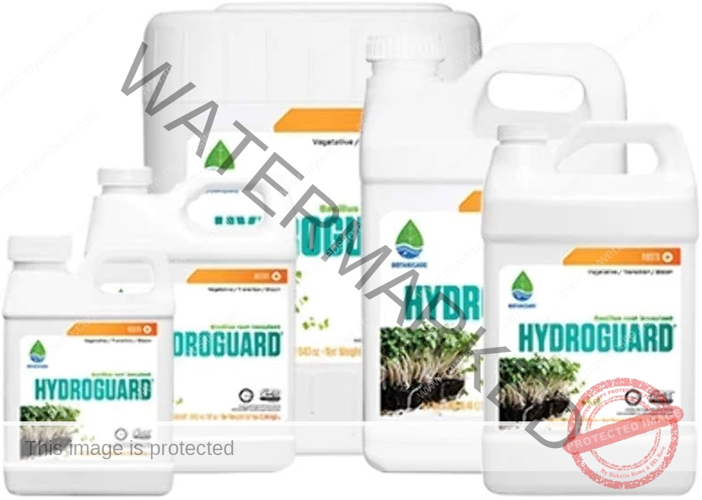 اختيار المغذيات لنظام الوراعة المائية للقنب