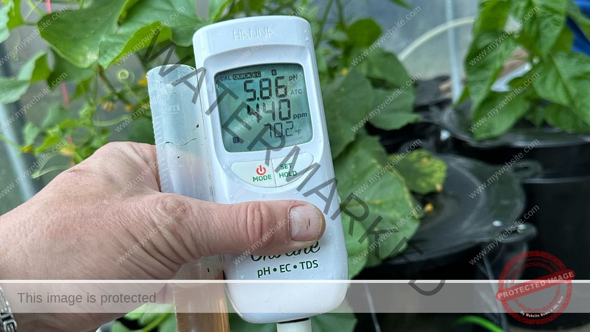 قياس EC و PH للزراعة المائية